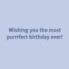 Graphique Handmade Birthday Card, Cute & Happy Birthday Greeting, Her, Him, Friend, Pickleball, 5” x 7”(Happy Birthday Cats)