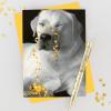 Graphique Party Cats Birthday Card, Family and Friends, Color-Coordinated Envelope, 5″ x 7″(All Wrapped Up)
