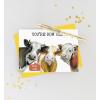 Graphique Party Cats Birthday Card, Family and Friends, Color-Coordinated Envelope, 5″ x 7″(Cows)