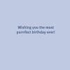 Graphique Party Cats Birthday Card, Family and Friends, Color-Coordinated Envelope, 5″ x 7″(Party Cats)