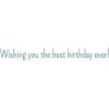 Graphique Party Cats Birthday Card, Family and Friends, Color-Coordinated Envelope, 5″ x 7″(Shark Bite)