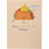 Graphique Party Cats Birthday Card, Family and Friends, Color-Coordinated Envelope, 5″ x 7″(Taco)