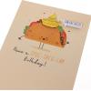Graphique Party Cats Birthday Card, Family and Friends, Color-Coordinated Envelope, 5″ x 7″(Taco)