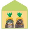Graphique Party Cats Birthday Card, Family and Friends, Color-Coordinated Envelope, 5″ x 7″(Pineapple Cats)