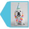 Graphique Party Cats Birthday Card, Family and Friends, Color-Coordinated Envelope, 5″ x 7″(Puppy Party Hat)
