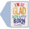 Graphique Party Cats Birthday Card, Family and Friends, Color-Coordinated Envelope, 5″ x 7″(So Glad)