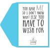Graphique Party Cats Birthday Card, Family and Friends, Color-Coordinated Envelope, 5″ x 7″(You Have Me)