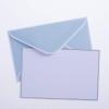 Graphique All Occasion Flat Notes, Pack of 50 Blank Index Cards with Envelopes & Decorative Storage Box, Thick Cardstock Stationary Gift, White Hydrangeas, 5.625” x 3.5”(Brush Strokes)