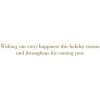 Graphique Santa Christmas Cards, Boxed Set of 15 Holiday Cards with Envelopes, 4.75″x 6.625″(Joy Branches)