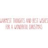 Graphique Wood Background Holiday Cards | Pack of 15 Cards with Envelopes | Christmas Greetings | Silver Foil Accents | Boxed Set | 4.25″ x 5.5″(Snowman in a Blizzard)