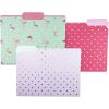 Graphique Flamingo Pink File Folder Set – File Set Includes 9 Folders and 3 Unique Flamingo and Polka Dot Designs, Embellished w/ Gold Foil on Durable Triple-Scored Coated Cardstock, 11.75″ x 9.5″