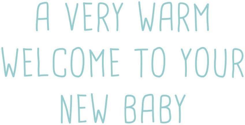 imageGraphique Handmade Birthday Card Cute ampamp Happy Birthday Greeting Him Her Friend Sip Sip Hooray 5 x 7Baby Animals