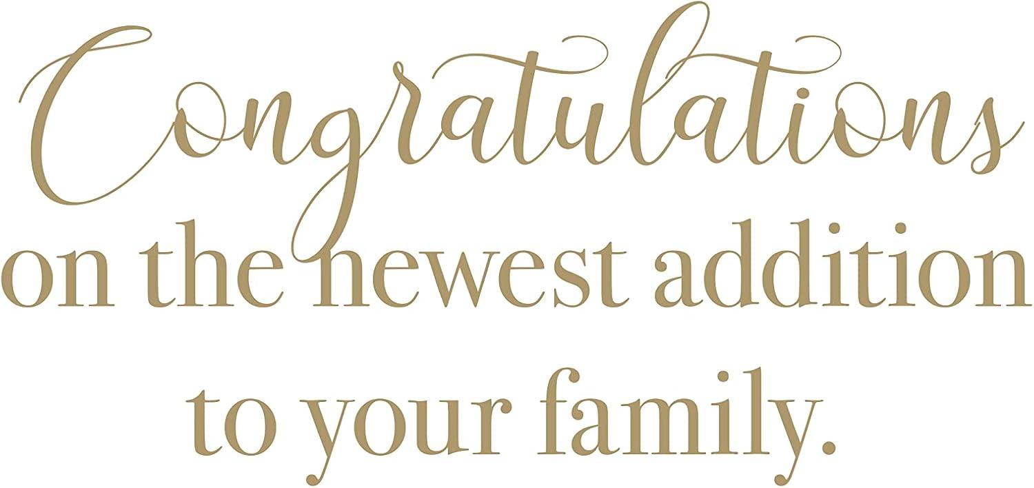 imageGraphique Handmade Birthday Card Cute ampamp Happy Birthday Greeting Him Her Friend Sip Sip Hooray 5 x 7Hello Baby