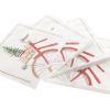 Graphique Watercolor Bike Holiday Cocktail Napkins | Christmas Party | Dessert, Beverage, Coffee | 3-Ply Disposable Paper Napkins | 5” x 5” | 40 pcs